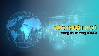 Các thuật ngữ trong thị trường forex