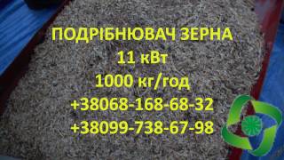 Подрібнювач зерна Відходи елеватора 11 кВт 1т Подрібнювач зерна Відходи елеватора 11 кВт 1т