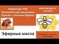 Как лечить пчел от клеща Варроа препаратами на основе эфирных масел? Апигард, АпилайфВар и Таймовар.