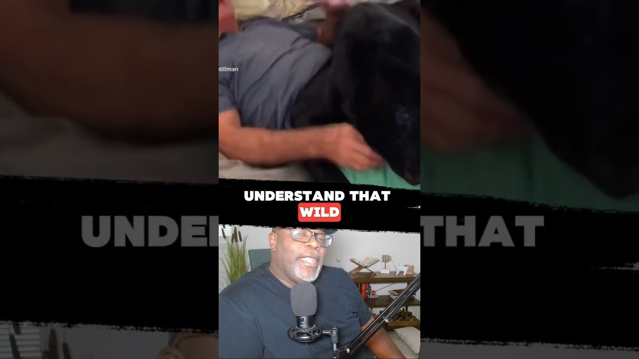FUNNY HE THINK ITS A PET
