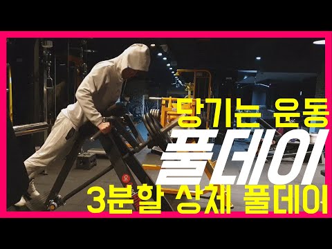 풀데이(등,후면삼각근,팔)3분할 풀데이 운동 루틴