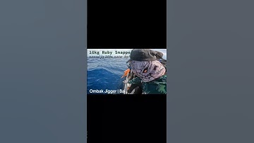 16kg Ruby Snapper on manual jig!!! 200meter depth 16knot wind gusts!!