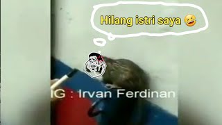 VIDEO VIRAL !! WAWANCARA TIKUS KEJEBAK BANJIR 2020