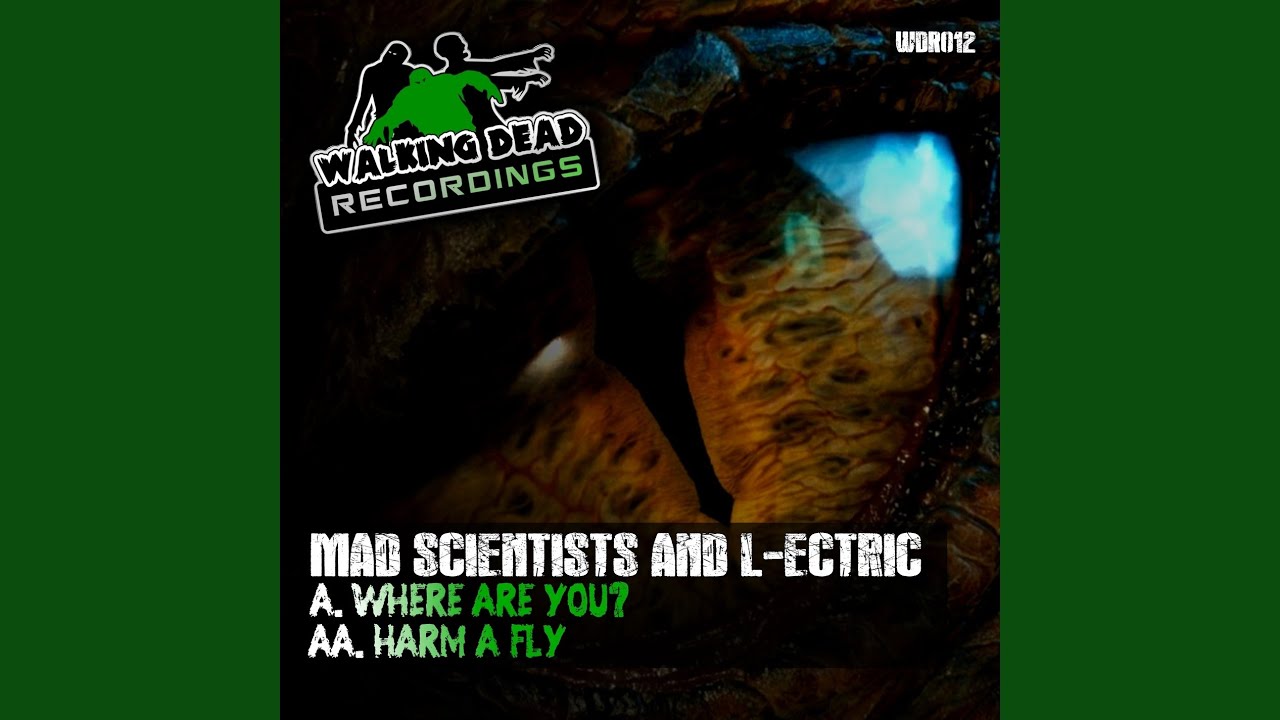YouTube에서 Harm A Fly 보기 YouTube에서 Harm A Fly 보기