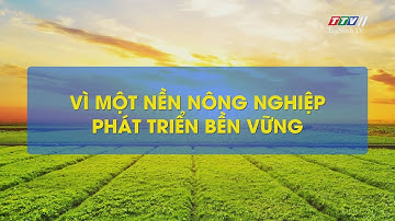 Vì một nền nông nghiệp phát triển bền vững | Những vấn đề hôm nay | TayNinhTV