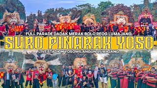 FULL PARADE DADAK MERAK SURO PINARAK YOSO BOLO REOG LUMAJANG LIVE STADION YOSOWILANGUN-LUMAJANG