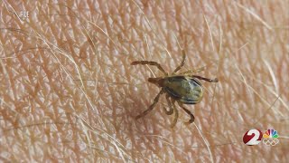 Ticks, Lyme disease a growing threat in the Buckeye State