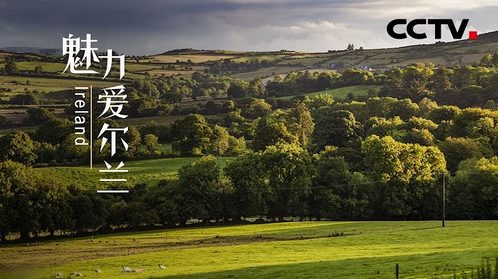 【Eng Sub】《魅力愛爾蘭》Ireland 翡翠島國的奇幻之旅 | CCTV紀錄 - 天天要聞