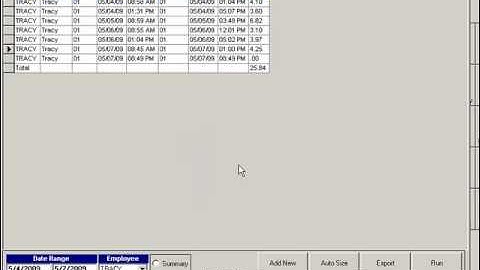 Employee Punch Clock, Time & Attendance (Visual Retail Plus)