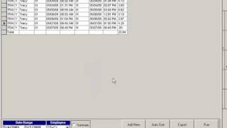Employee Punch Clock, Time & Attendance (Visual Retail Plus)