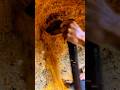 In the sand on this cliff, it turns out there is a secret hidden #gold