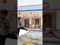 Dog🐶is best friend🤕ever and amazing dog😱 #dogapparel #dogshorts #funnyanimals #youtube