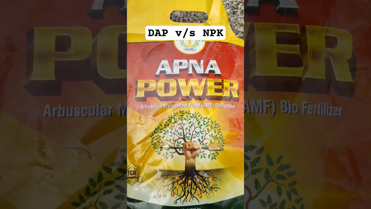 DAP vs NPK ......dono me kon behtar 