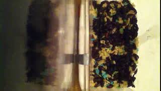 IMG 5890 641
