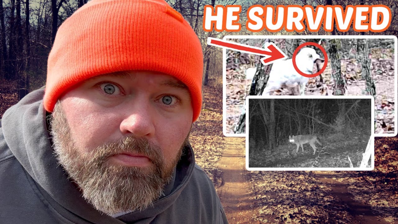 20 скрытых камер засняли то, что его преследовало