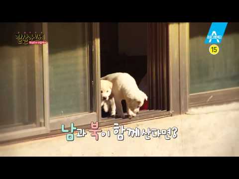 [Coming Soon] 잘 살아보세 티저 ver.2 _채널A_잘살아보세
