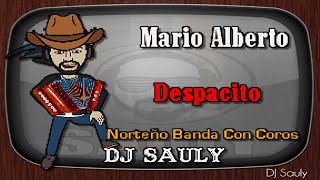 Mario Alberto - Despacito KARAOKE (Norteño Banda Luis Fonsi Cover Coros) Karaoke