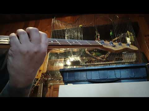 Blues Delight -