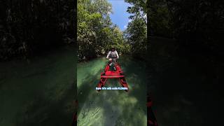 Download Lagu Is the Spatium Water Bike the best summer item for 2025? MP3