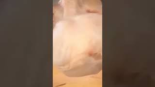Pisikolojim Bozuldu Bir Daha Tavuk Yemem