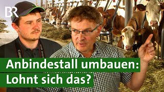 Anbindehaltung vor dem Aus - Bauern in der Klemme: Dicht machen oder umbauen? | Unser Land | BR