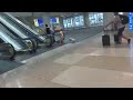 2026 Timelaspe Tour of Orlando International Airport Terminal C Level 1 Ground Transportation 