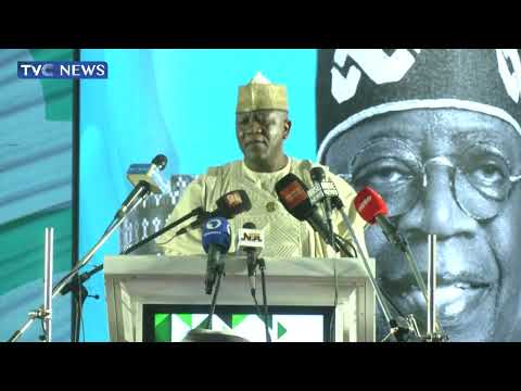 You've Touched the Lives Of Ordinary Nigerians, APC PCC DG Tells Tinubu