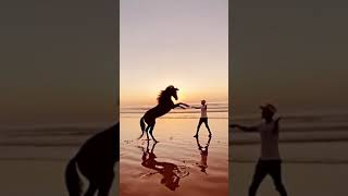 Melodious Pleasure To Listen