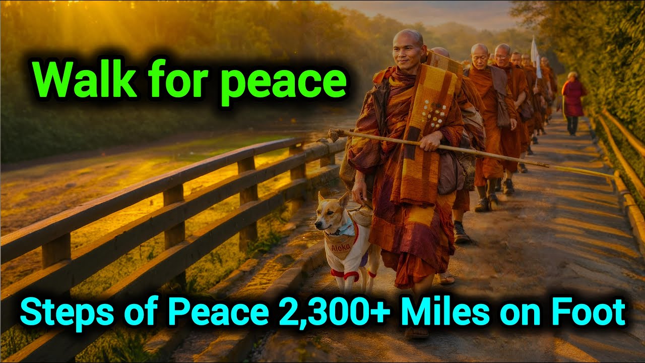 Идти за мир. Буддизм. Дхамма.