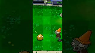 wall nut bolling