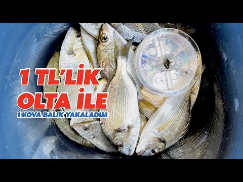 Video: Kotui Nehri. Genel bilgi. Balık tutma ve avcılık