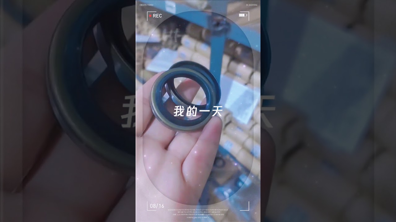 DKB dust seal steel cage China Factory