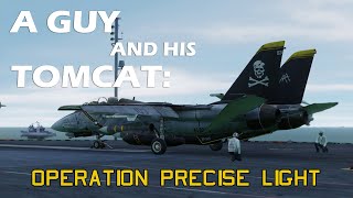 A Guy and his Tomcat: Operation Precise Light*