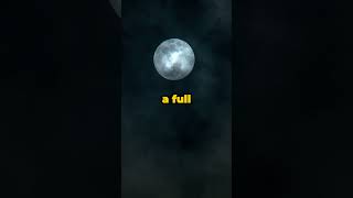 Crazy Facts You Didn't Know #29