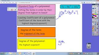 Famous 6 1a Identifying Polynomials Profile