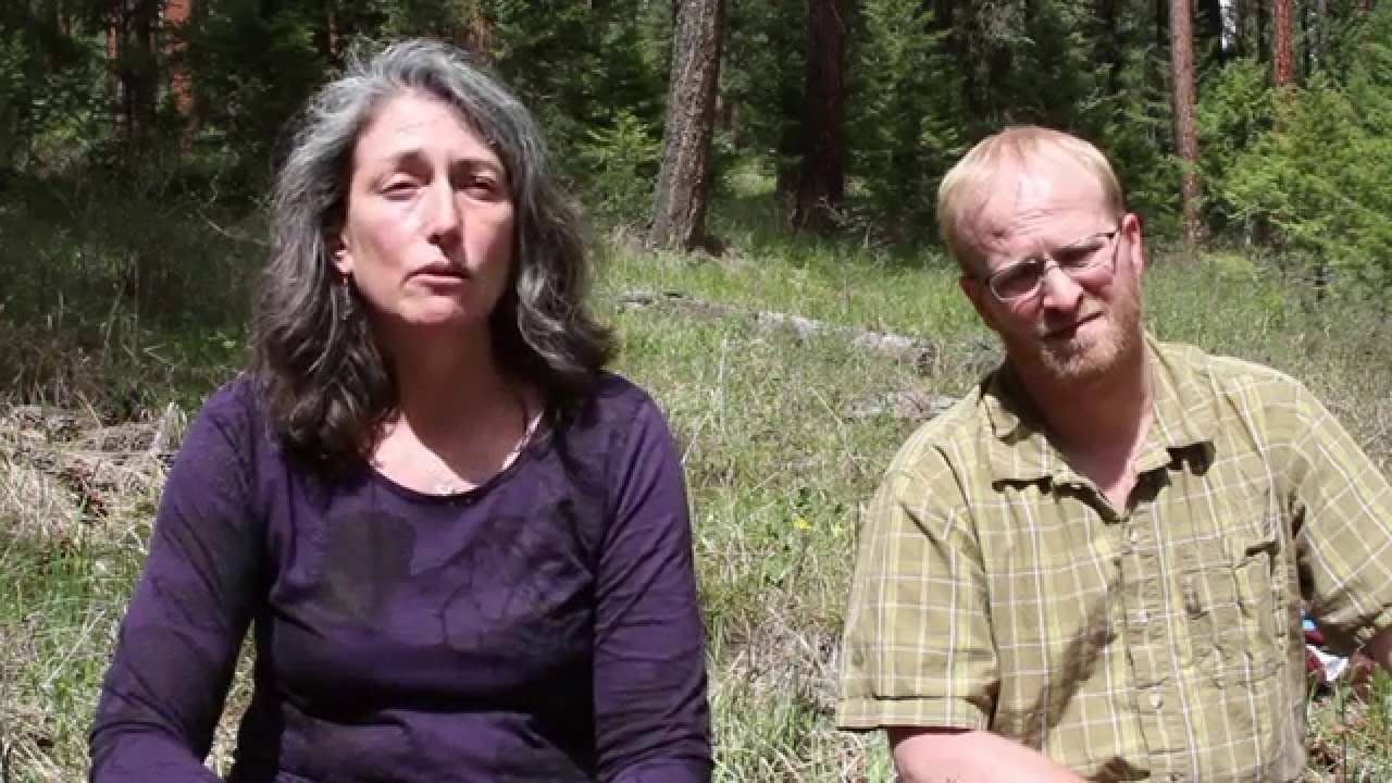 usda soil classification Fire as a natural process in wilderness