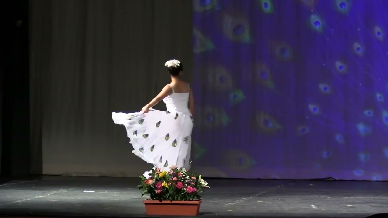 11 PeacockSpirit 孔雀灵