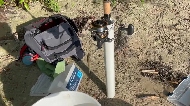 Saint John's River Fishing