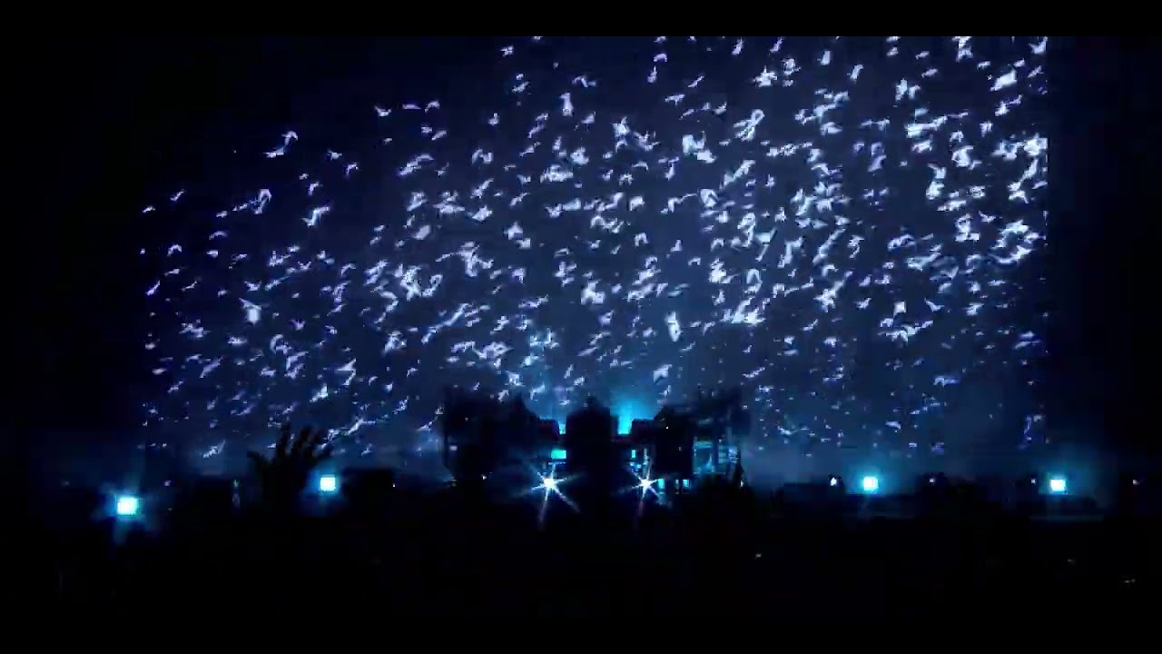 The Chemical Brothers Live Showreel (2023)