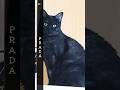 黒猫✨ブランド #cat #cute #cosplay #cutecat