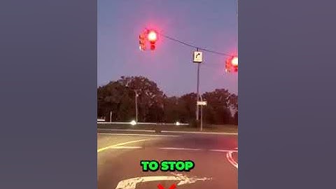 Cloverleaf DRIVING DANGERS 🚗 😍