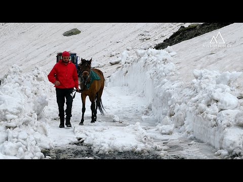 საკუთარი ჭერიც კი არ აქვთ, მაგრამ მაინც დაბრუნდნენ არხოტში, საზღვართან