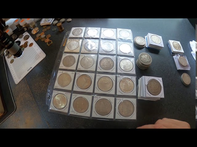 X3 Dansco Blank Pages 39mm For Silver Morgan Rounds Coins Long Term