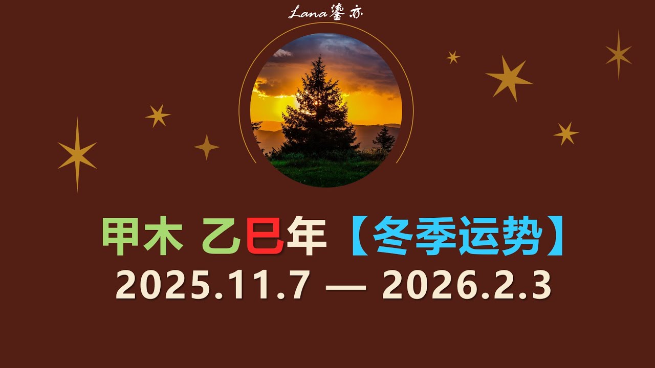 【甲木】乙巳【冬季运势 -上期】2025年11月、12月、2026年1月预测【节气 & 旺衰】