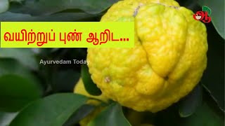 Citron fruit tree in tamil