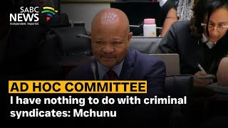 Ad Hoc committee | I have nothing to do with criminal syndicates: Mchunu