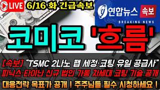 [코미코 주가전망] TSMC 2나노 팹 세정·코팅 유일 공급사 코미코… 15만5천원 찍고 10만원대 조정 지금이 기회입니까 총정리
