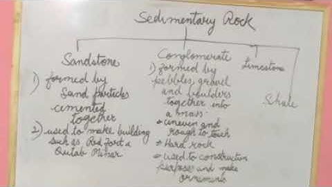 Class 5 Science/ Rocks and minerals/ Sedimentary Rock