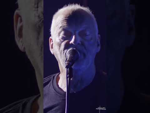 David Gilmour - High Hopes (Live At Pompeii)