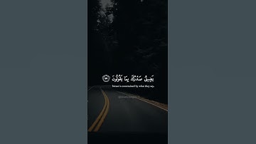 سورة الحجر|| اسلام صبحى